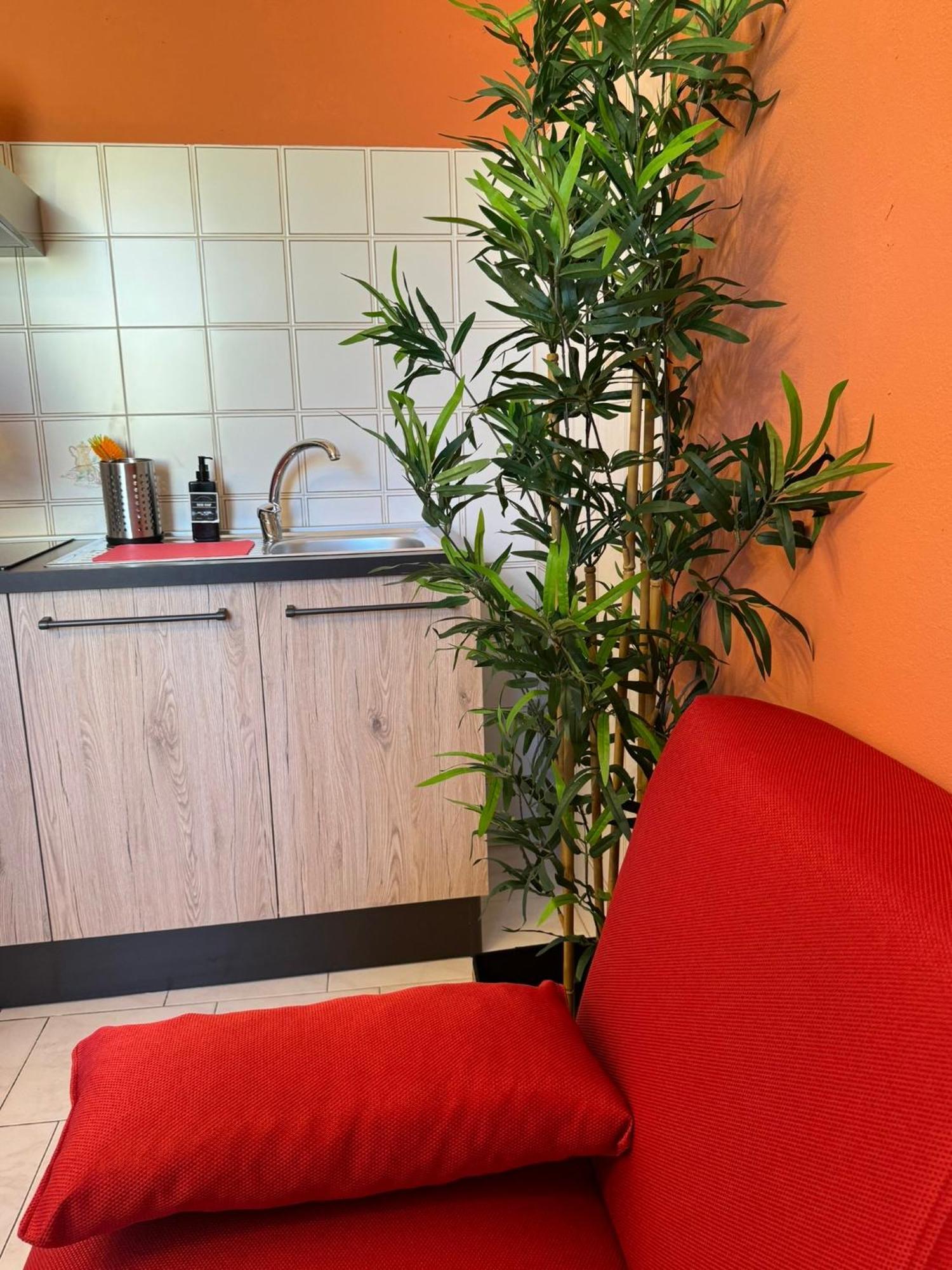 Colben Tuscany Home - Il Mare Dalla Finestra Nell'Atmosfera Tipica Livornese Livorno Exterior foto